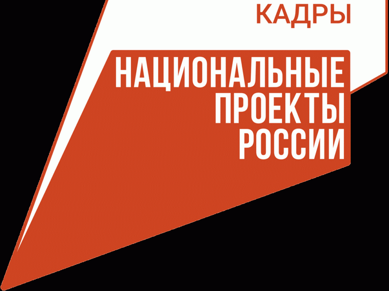 В рамках национального проекта «Кадры» три курганских ветерана СВО получат новую профессию.