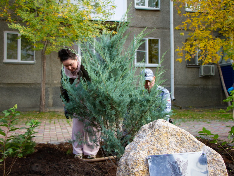 Зеленый уголок появился в сквере по ул.Кирова.
