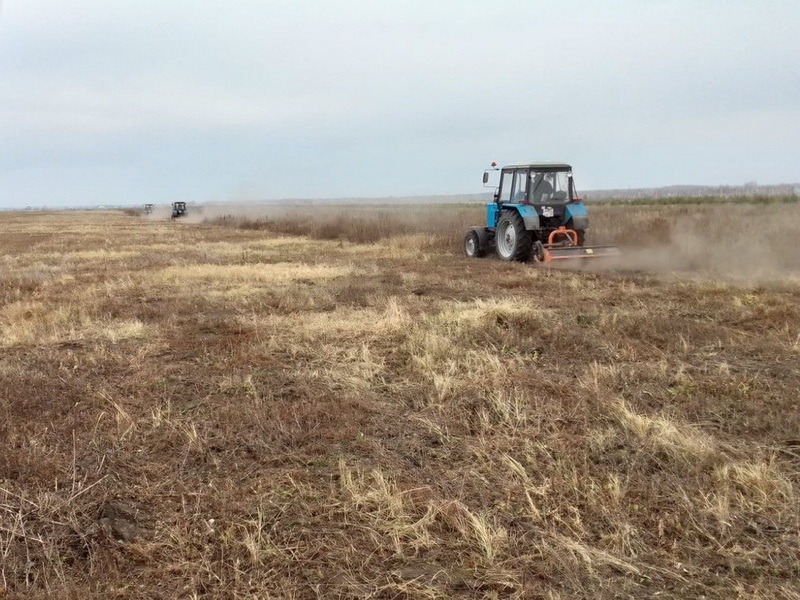 Окос населённых пунктов – необходимая профилактическая мера пожарной безопасности.