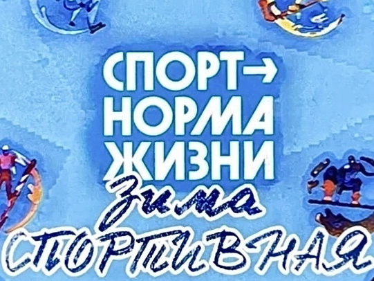 Проект «Зима Спортивная» завершился.