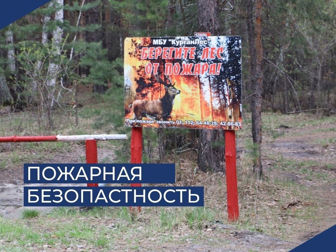 В Кургане действует особый противопожарный режим.