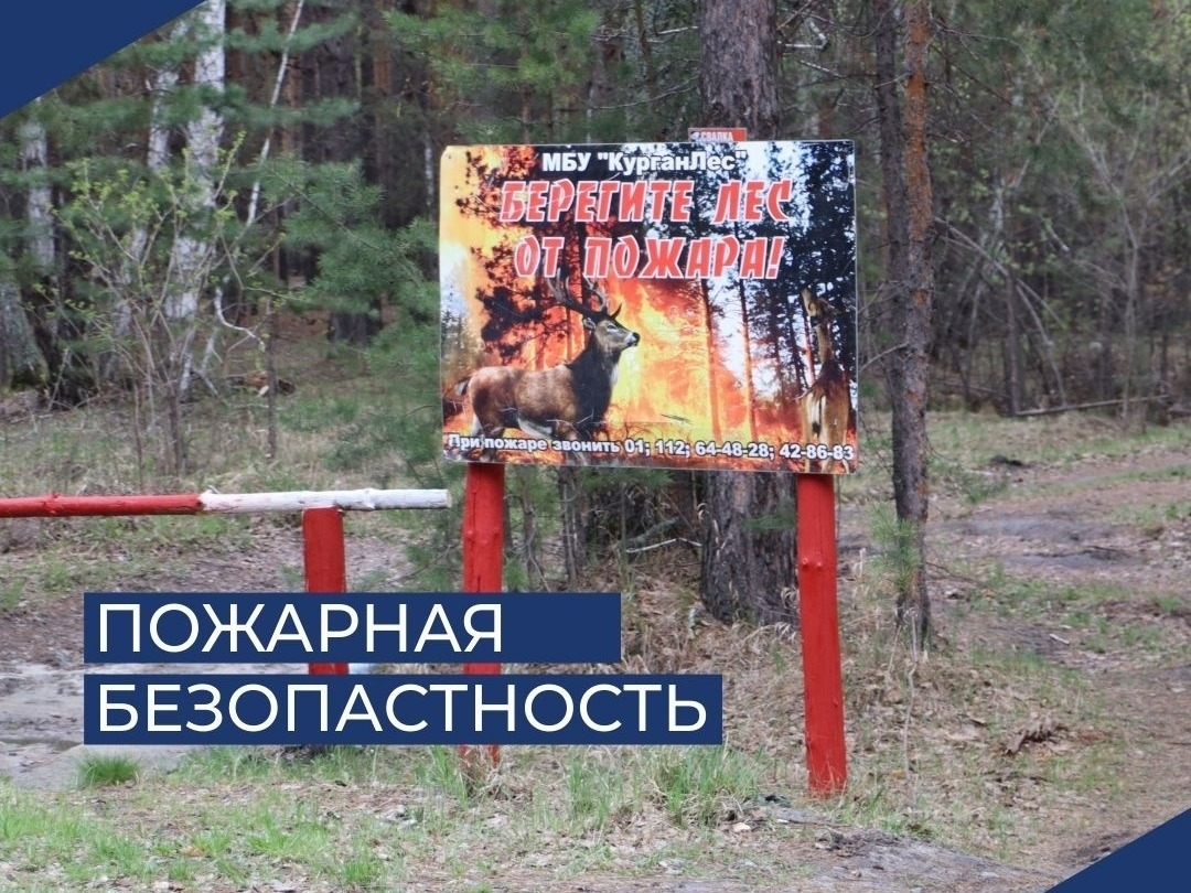 В Кургане продлен запрет на посещение лесов.