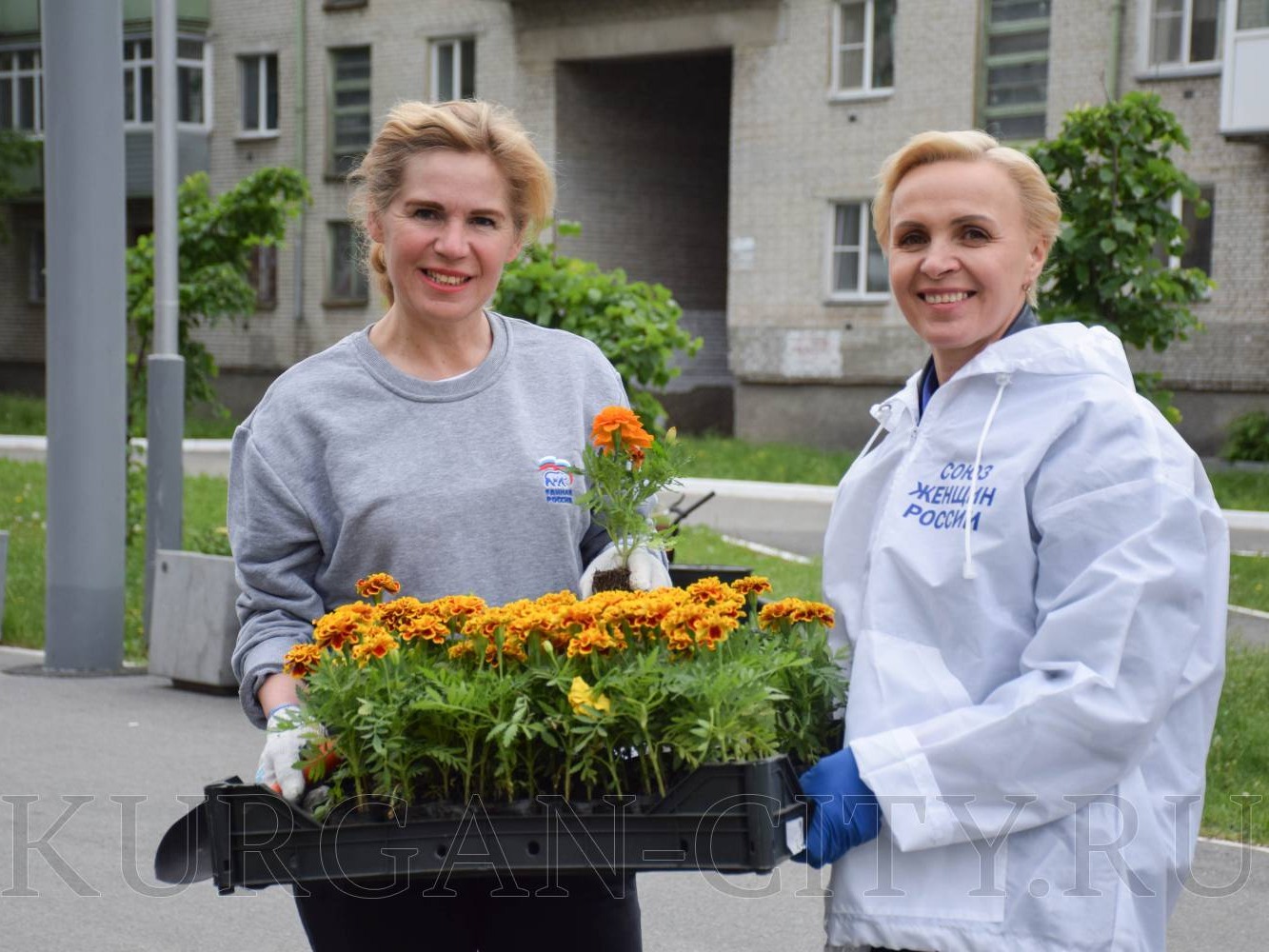 «Цветущую георгиевскую ленту» из бархатцев высадили в Кургане.