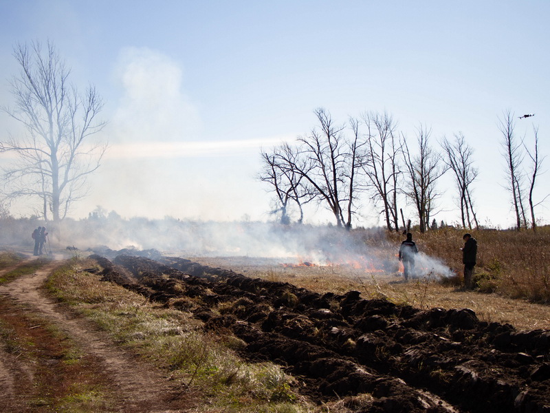 Отжиги сухой растительности – профилактическая мера.