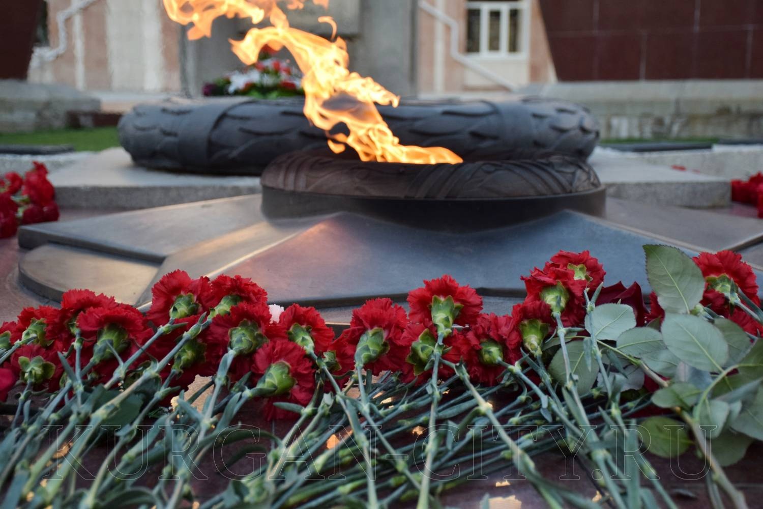 Глава города Елена Ситникова приняла участие в памятном мероприятии, посвященном Дню неизвестного солдата