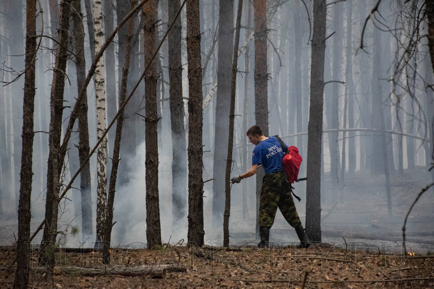 Глава города Кургана Елена Ситникова призвала горожан строго соблюдать все правила пожарной безопасности и воздержаться от разжигания огня
