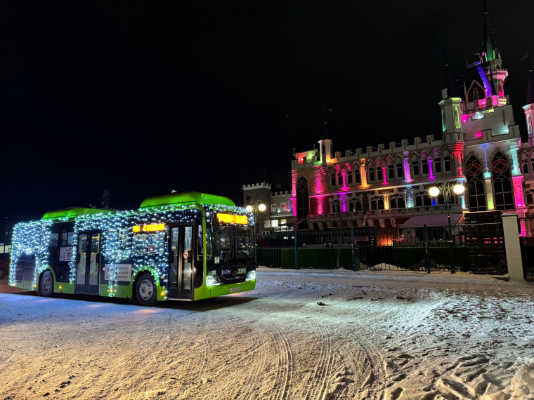 «Путешествие в сказку». Более 700 горожан и гостей Кургана посетили новогодние автобусные экскурсии.