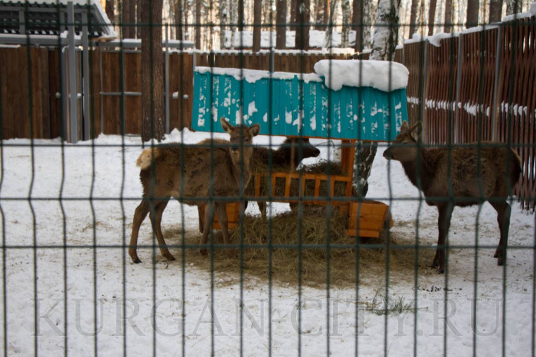 Глава города Антон Науменко провел очередной объезд по благоустройству.