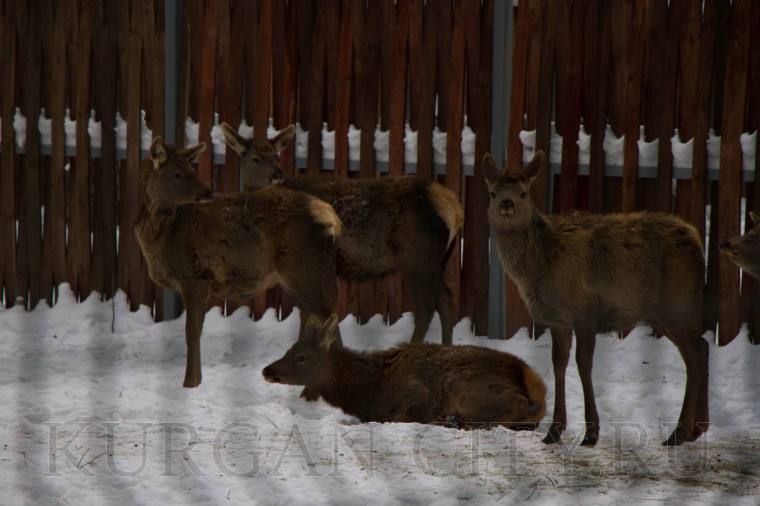 Глава города Антон Науменко провел очередной объезд по благоустройству.
