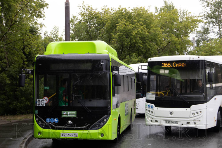 На улицы города вышли новые пассажирские автобусы большого и среднего класса.