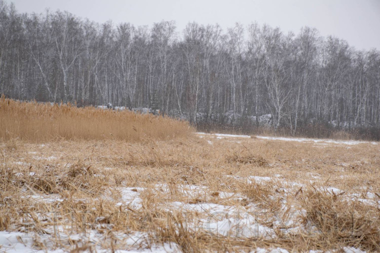 В Кургане продолжается подготовка к противопожарному режиму.