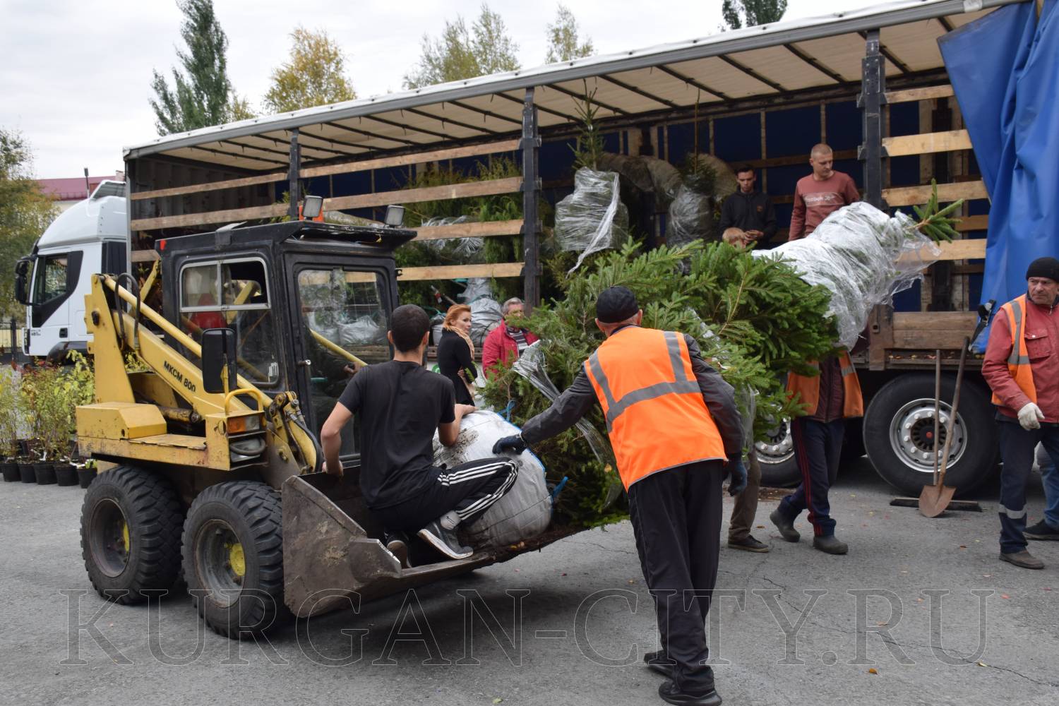В Курган доставили 1400 экземпляров деревьев и кустарников для озеленения Городского сада.