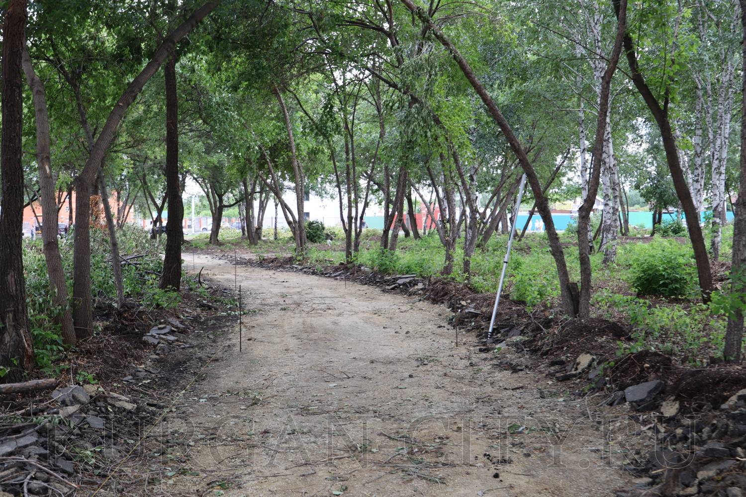 В Кургане обновляют парк «Молодежный».
